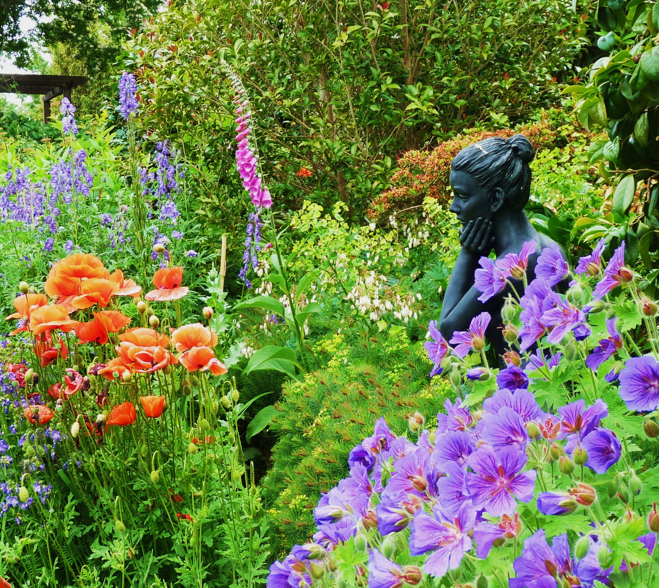 Poppy Cottage Garden