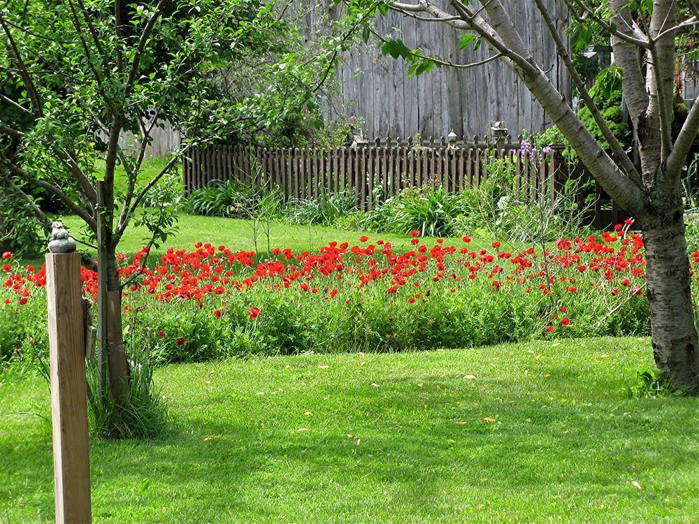 Poppy Garden Torch