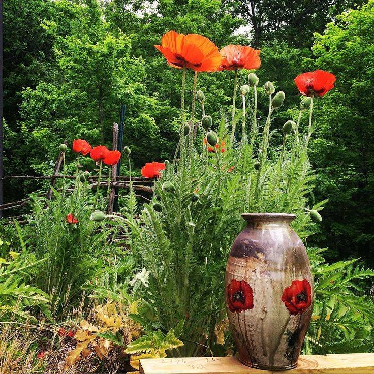 Garden Torch