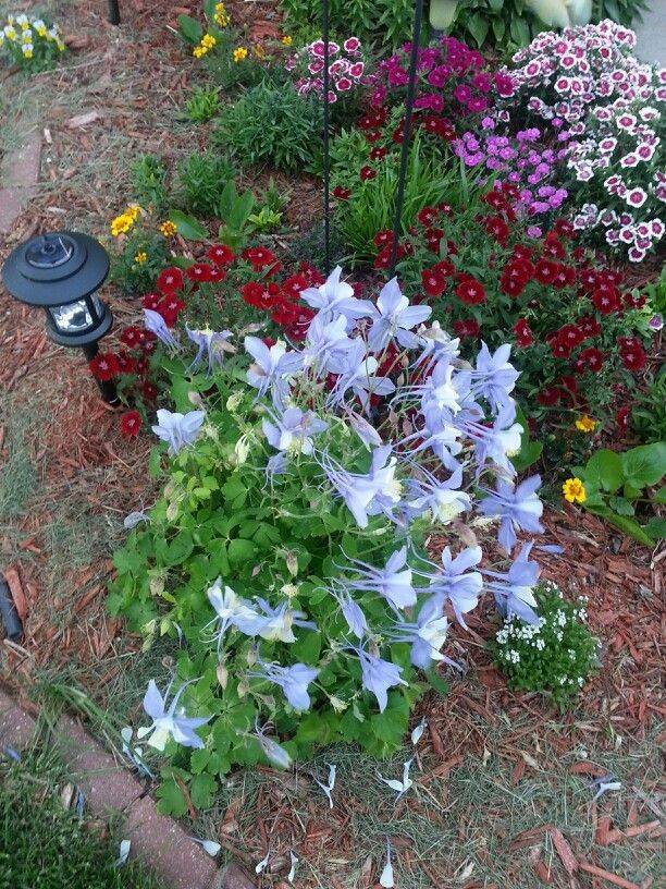 Flower Garden Redo