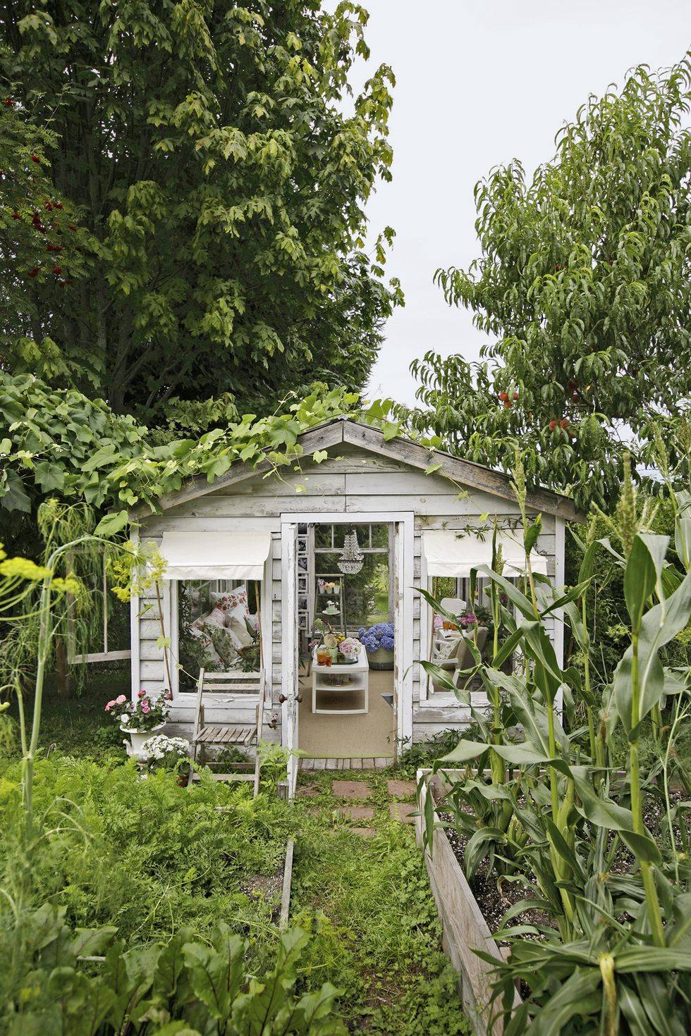 Photo Shabby Chic Outdoor Decor