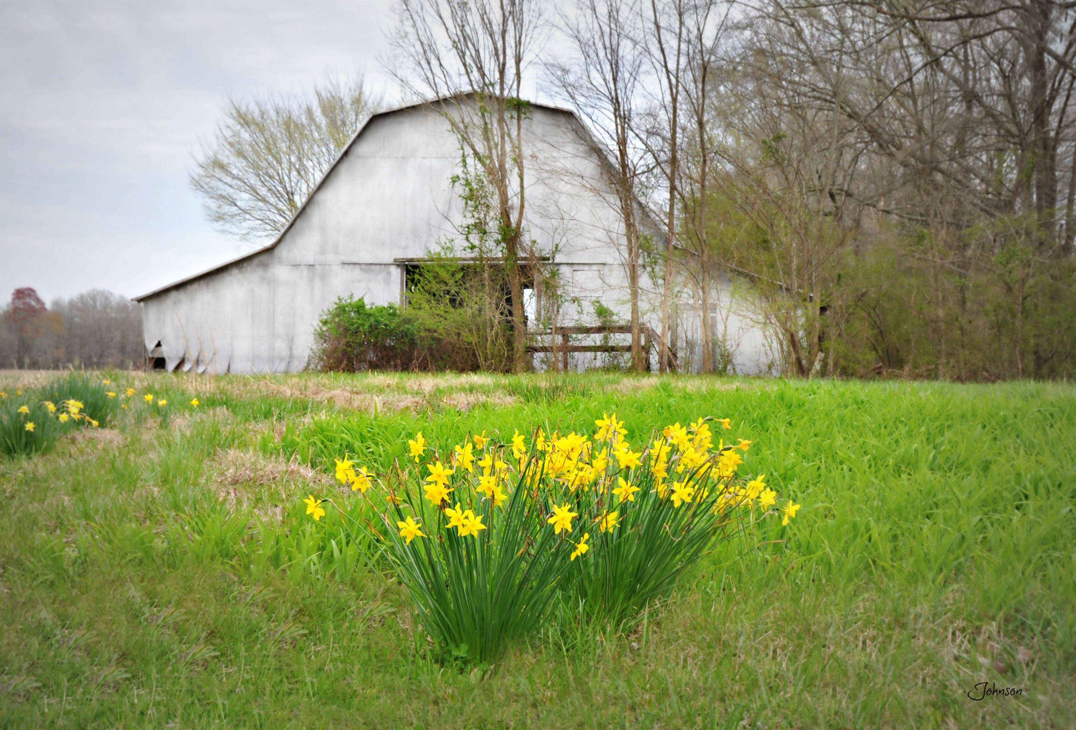 Wwwgainerscreekcrafscom