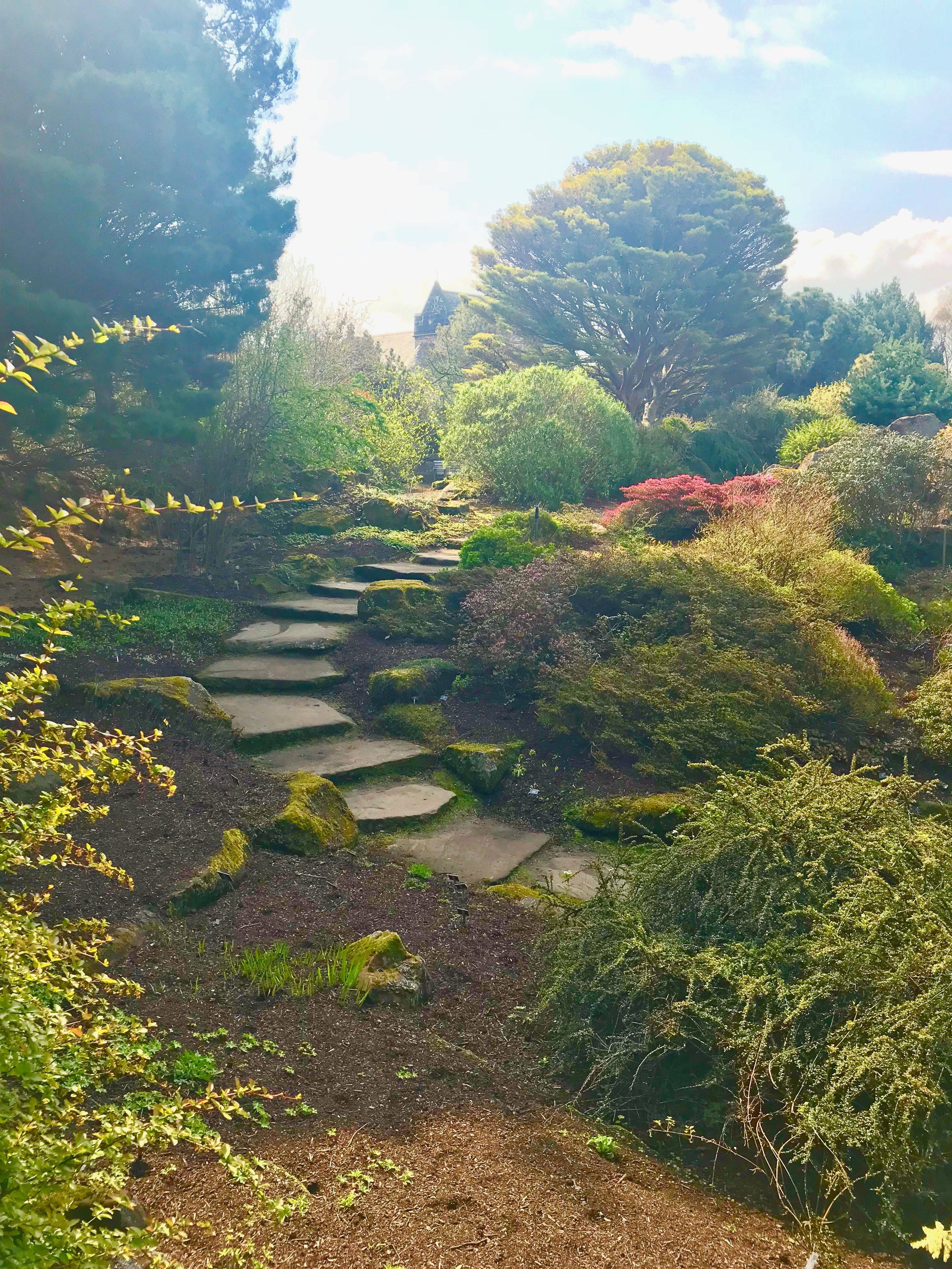 Gorgeous Botanical Garden Ideas