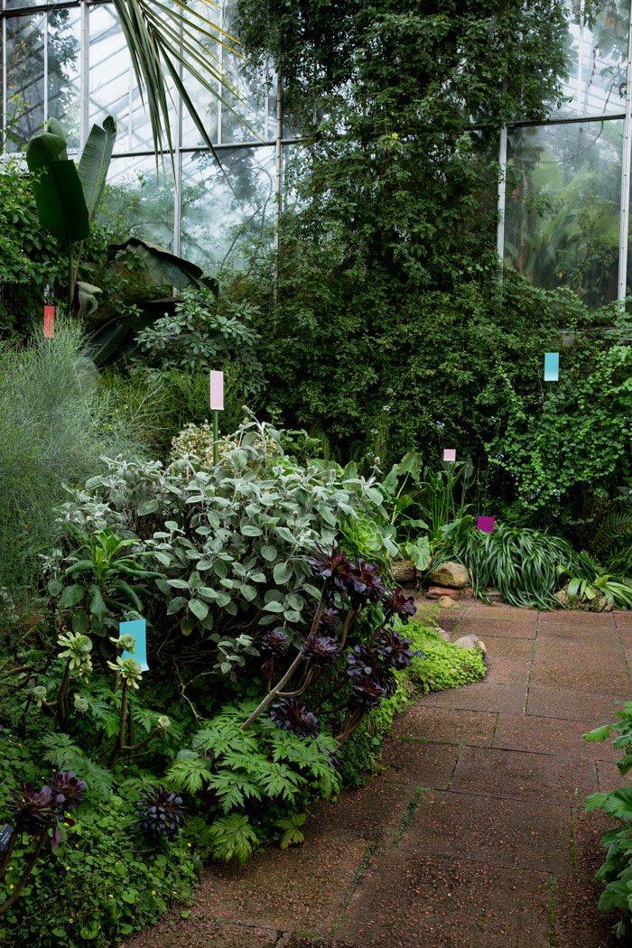Edinburgh Rock Garden