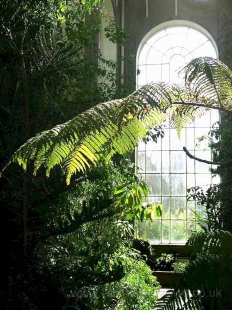 Royal Botanic Garden Edinburgh Inverleith House Botanic Gardens