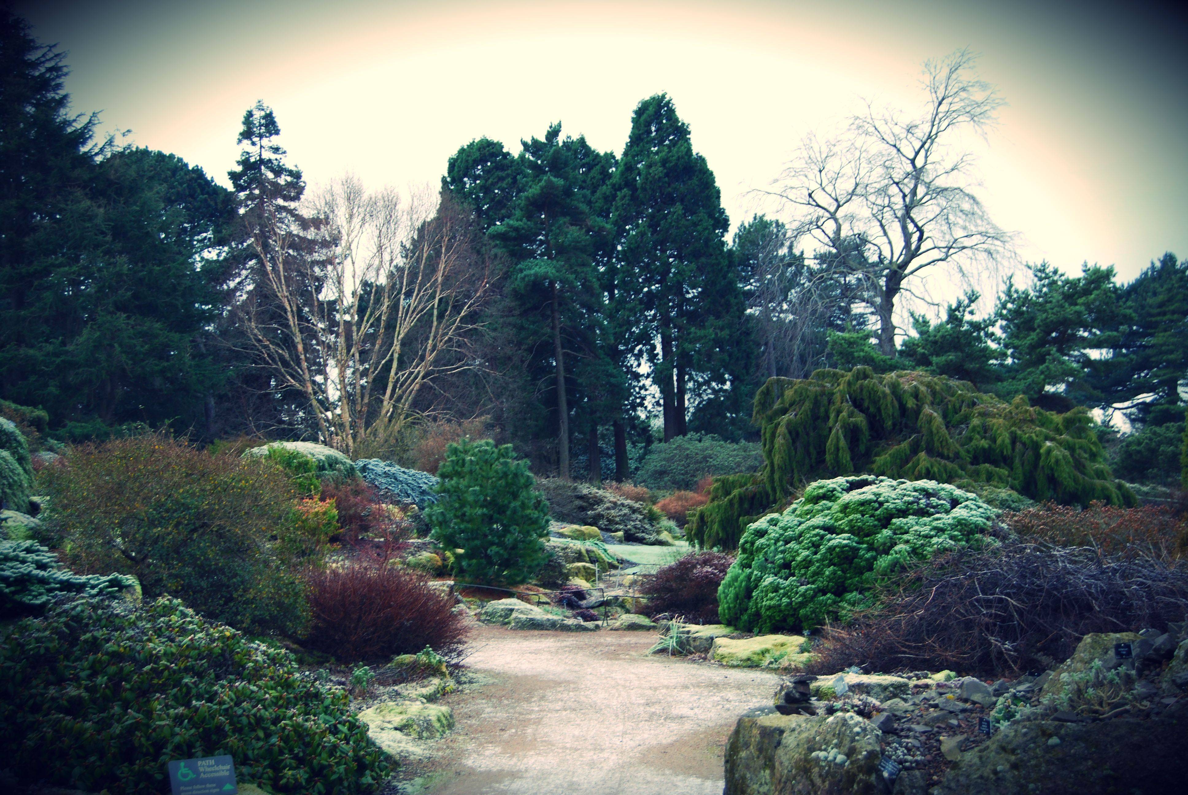 Scotland Botanic Gardens Edinburgh