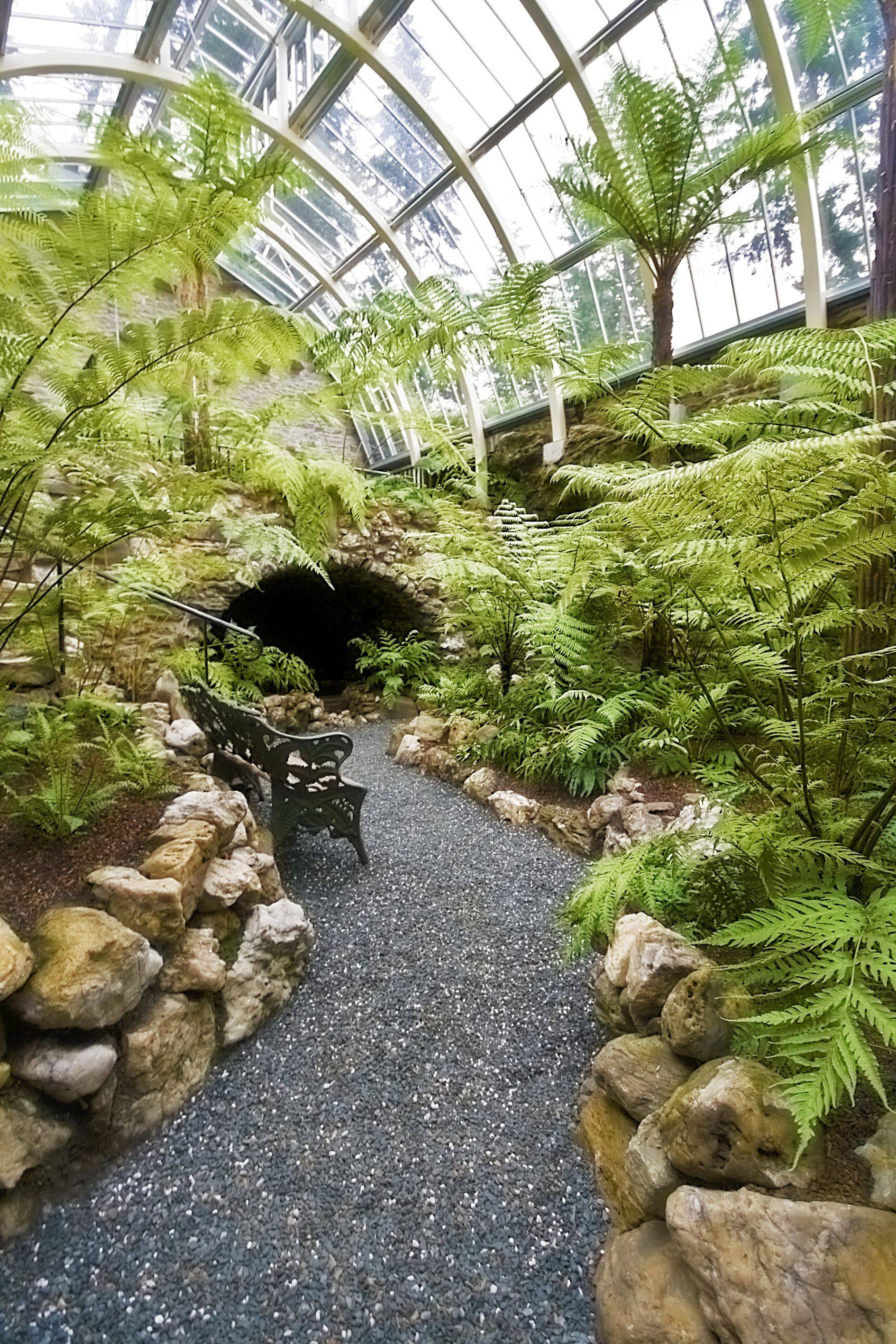 The Walled Garden Logan Botanic Garden Edinburgh