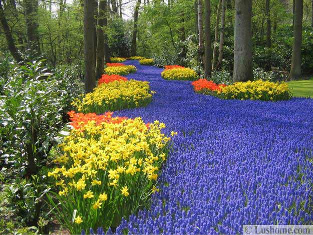 Spring Flower Garden Design