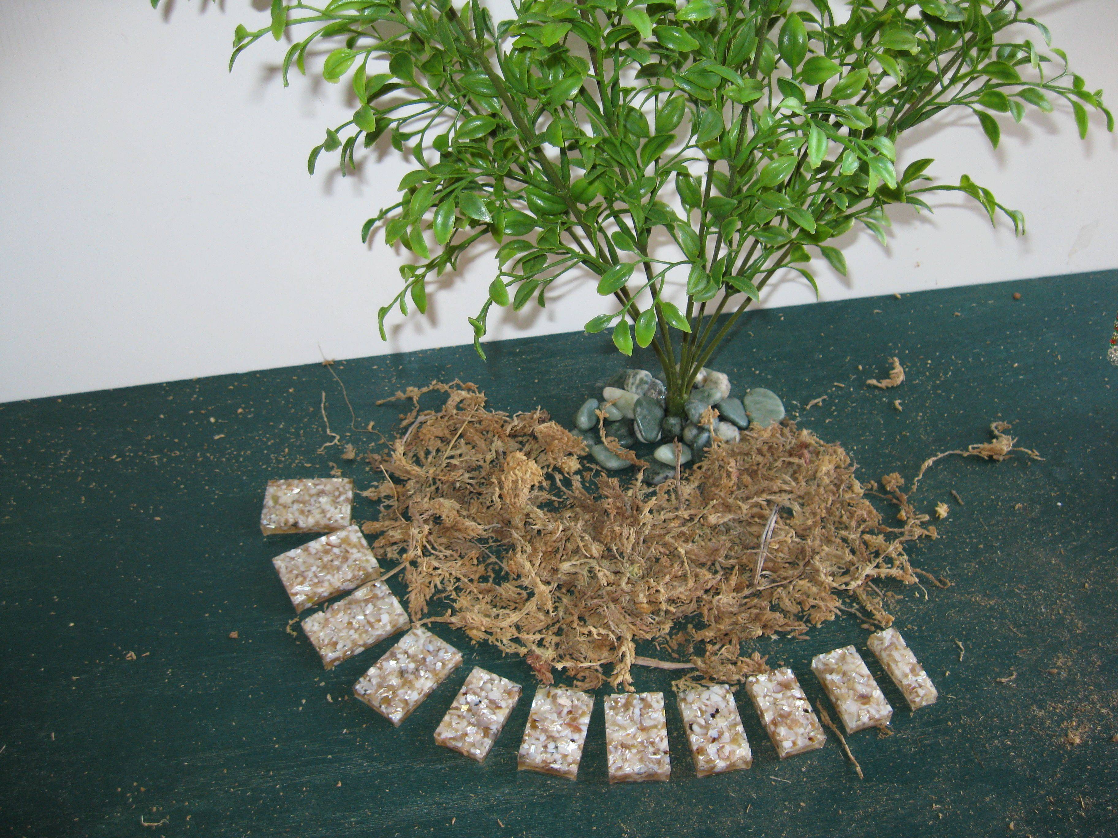 Amazing Diy Fairy Garden Ideas