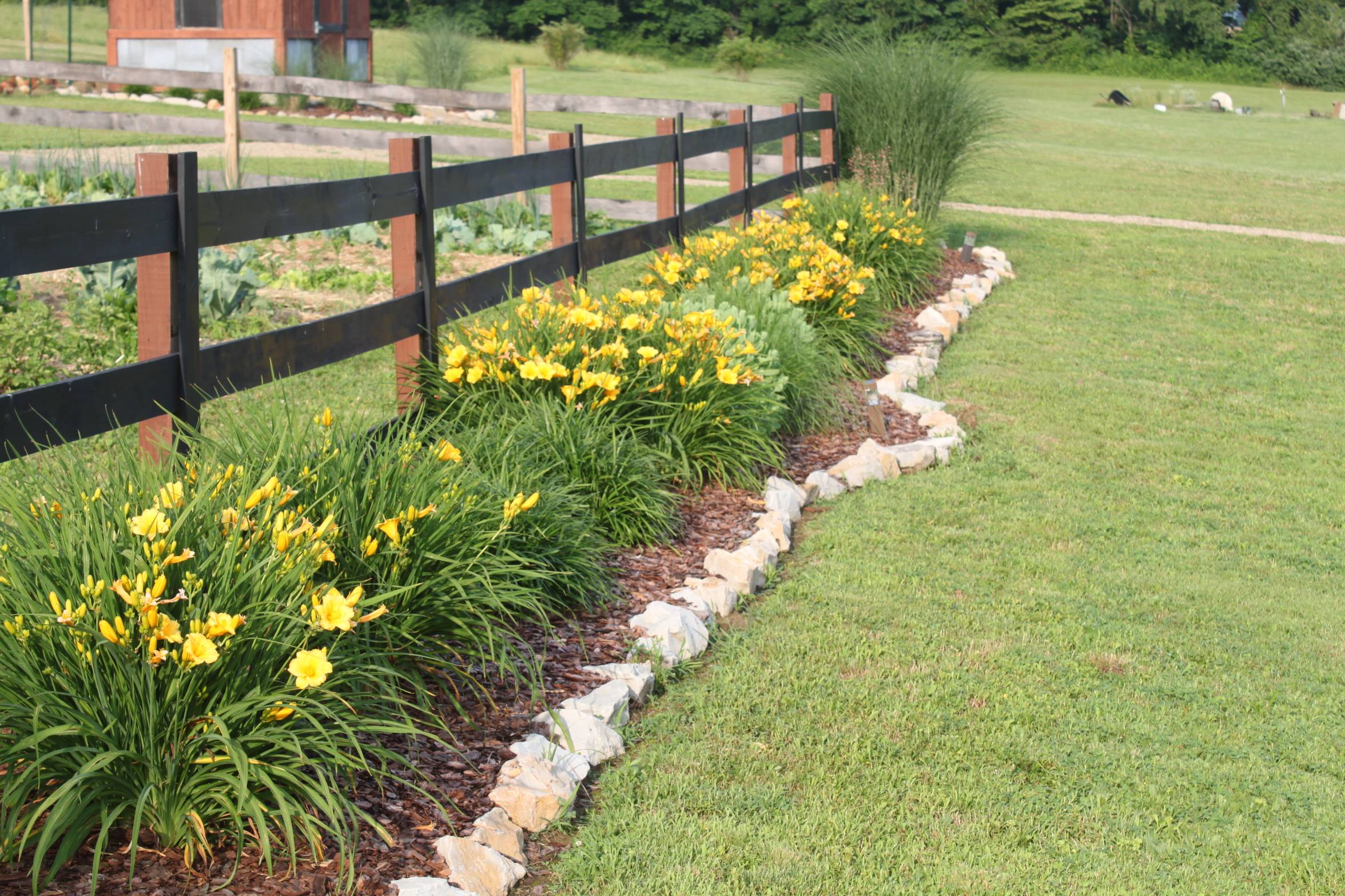 Backyard Garden Fence Decor Ideas Page
