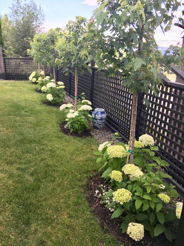 Garden Ideas