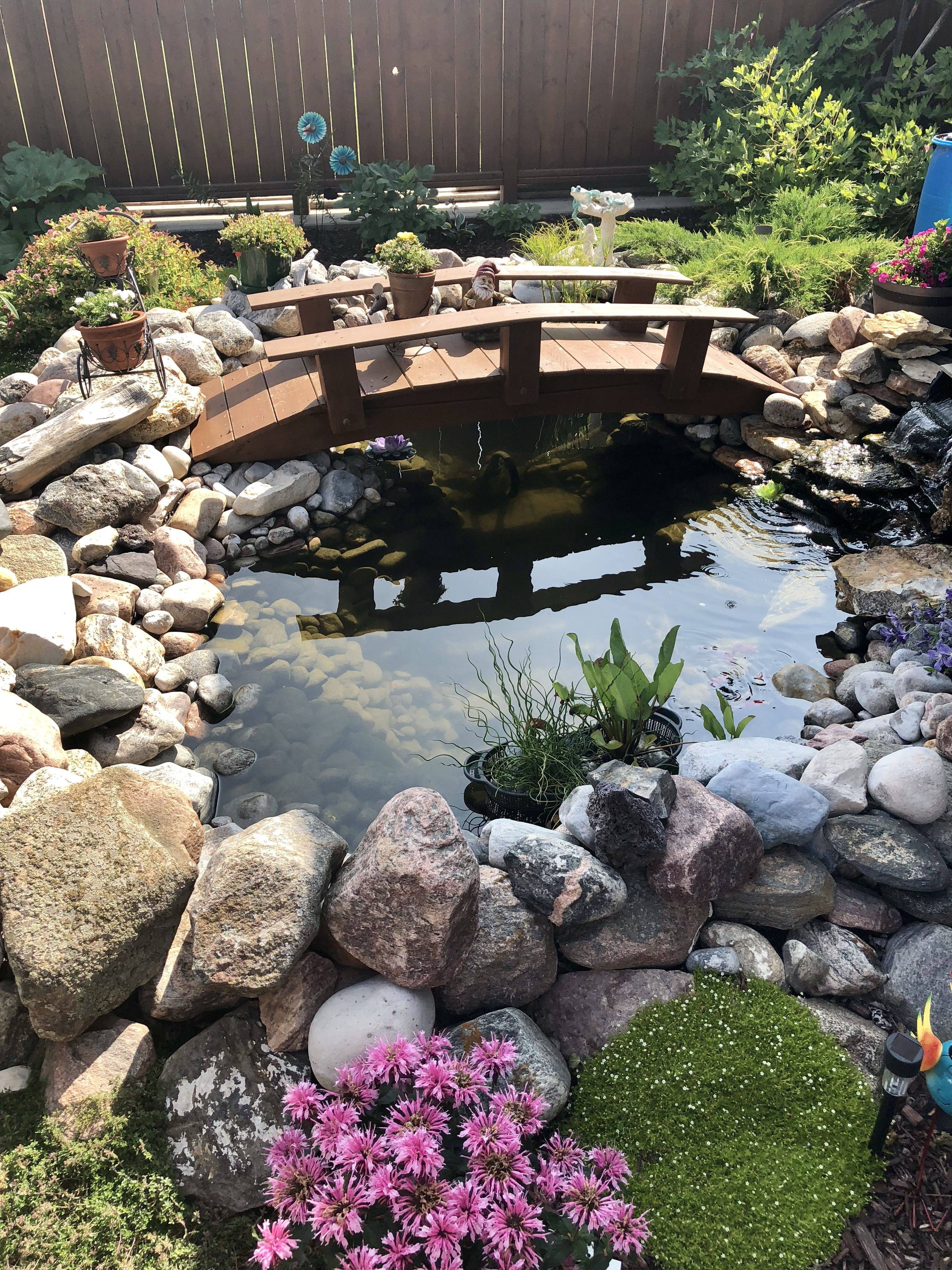 Backyard Bridge Ideas