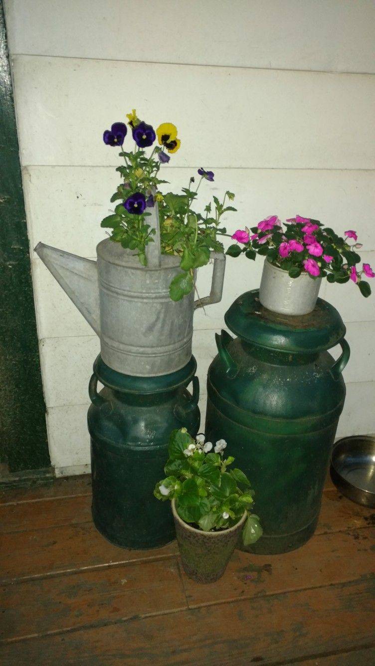 Rustic Living Rustic Living