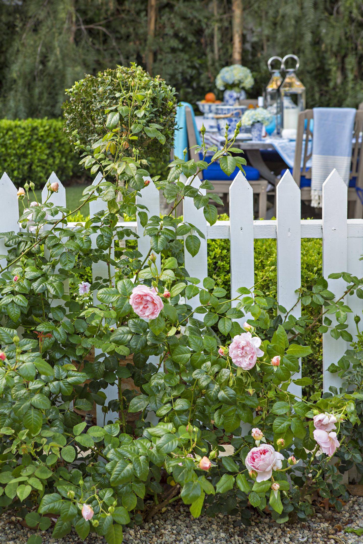 White Fence Google Search Picketfencegarden