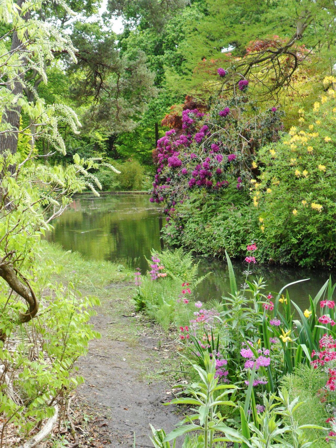 English Garden Design Ideas