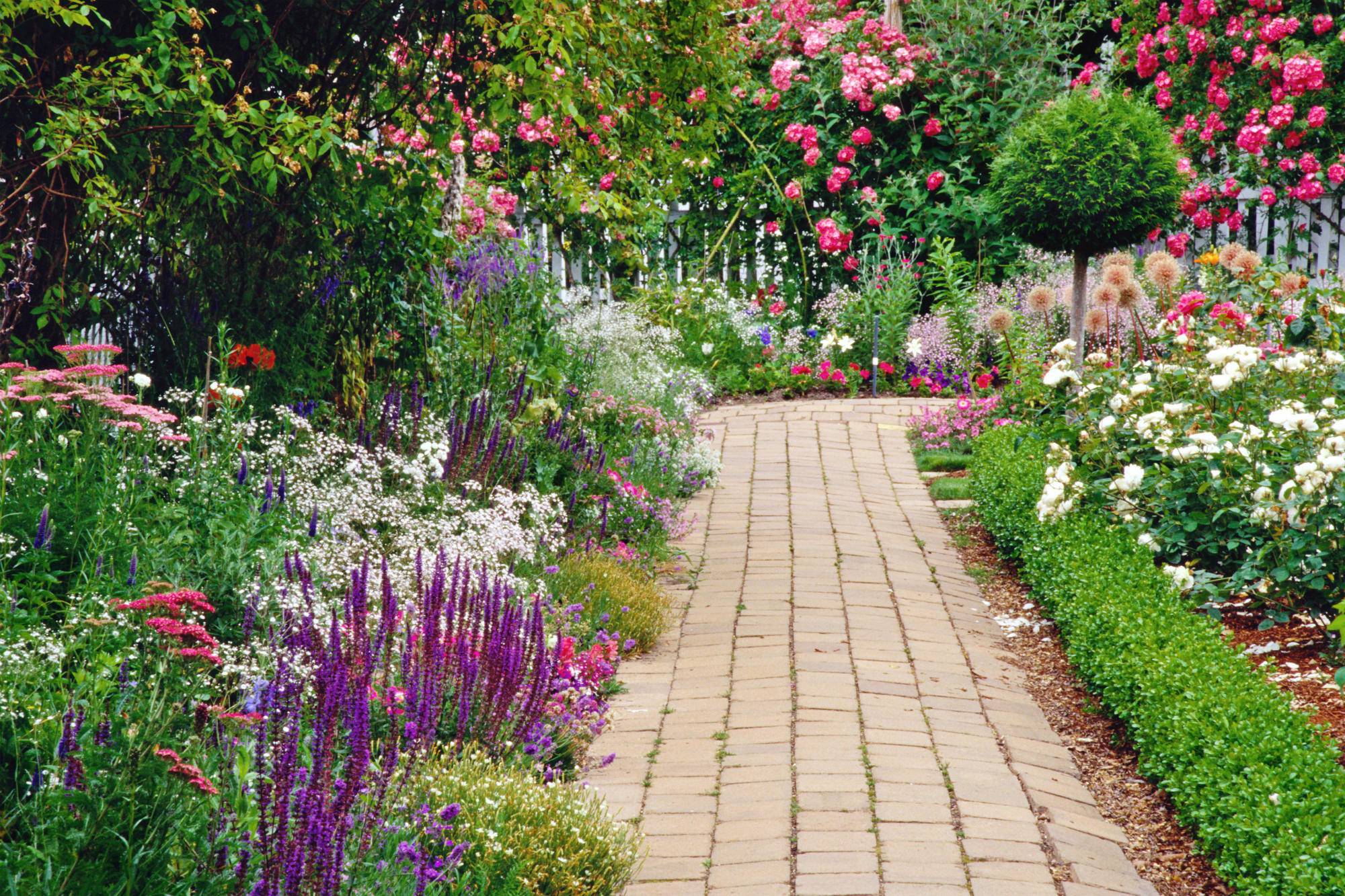 Widescreen Flower Garden Wallpapers