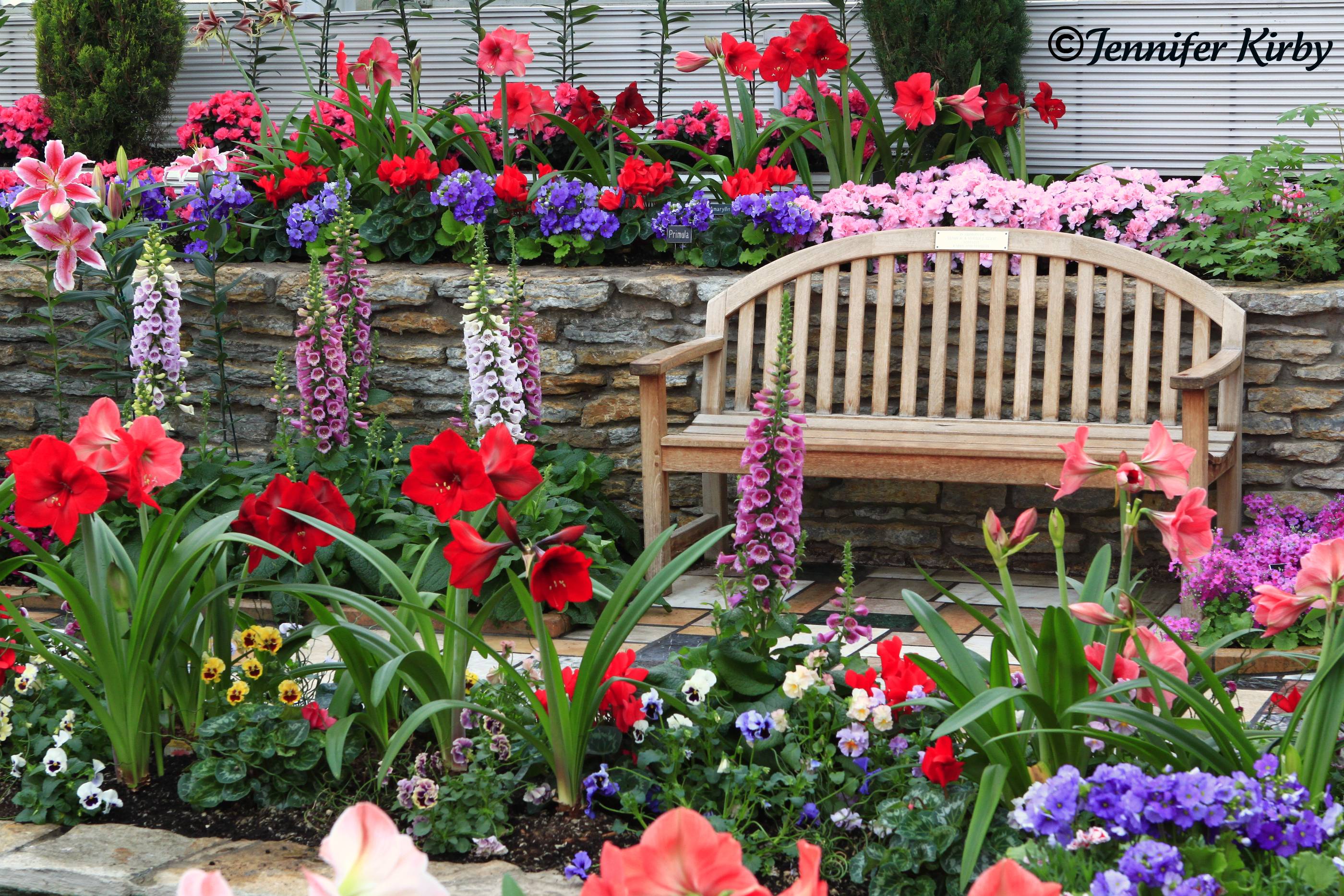 Perennial Garden Mistakes