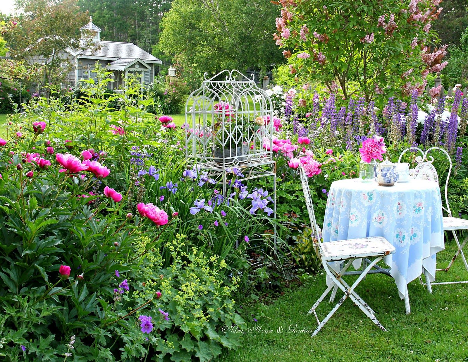 Easycare Garden Ideas