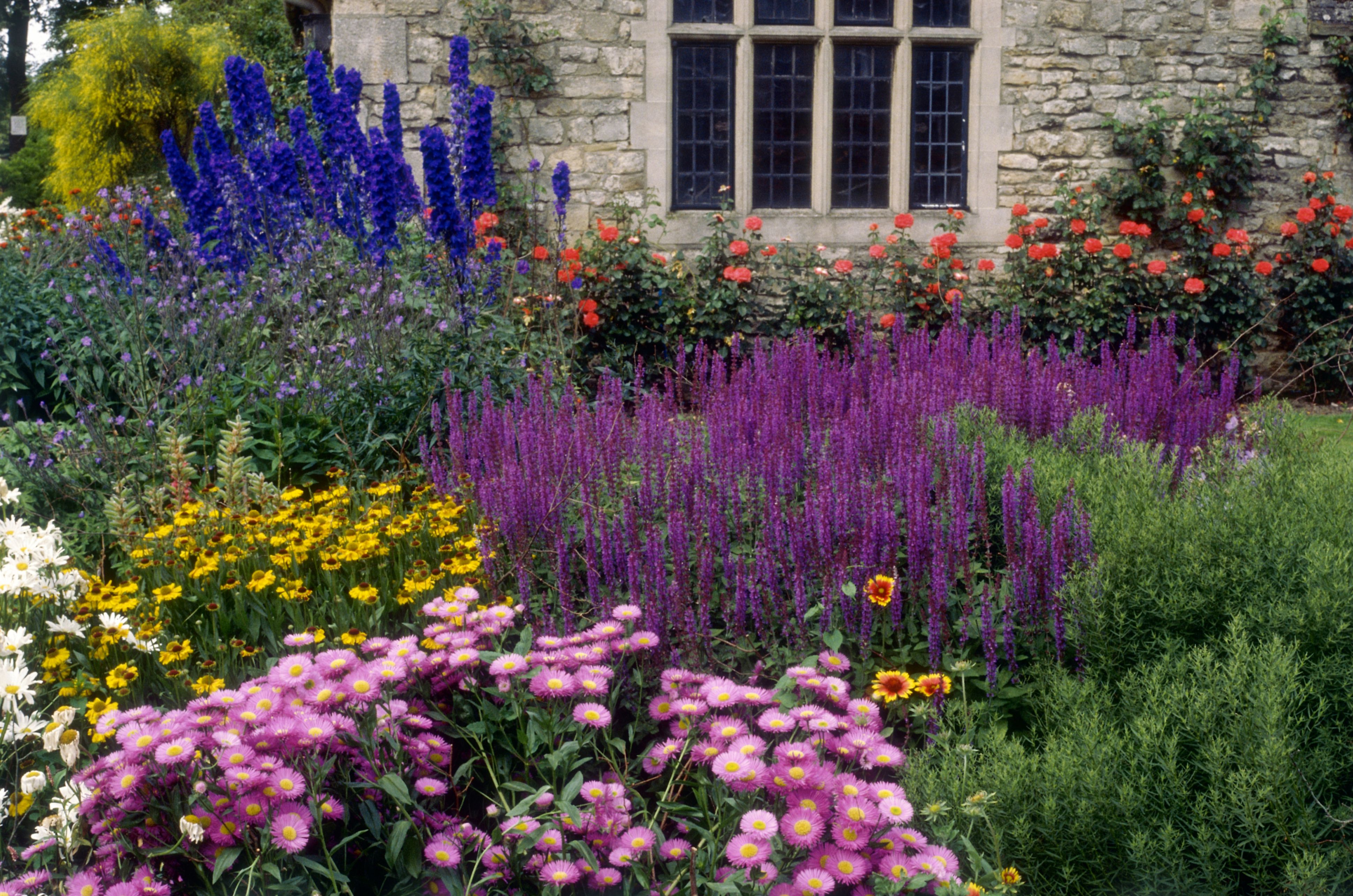 English Flower Garden Pictures
