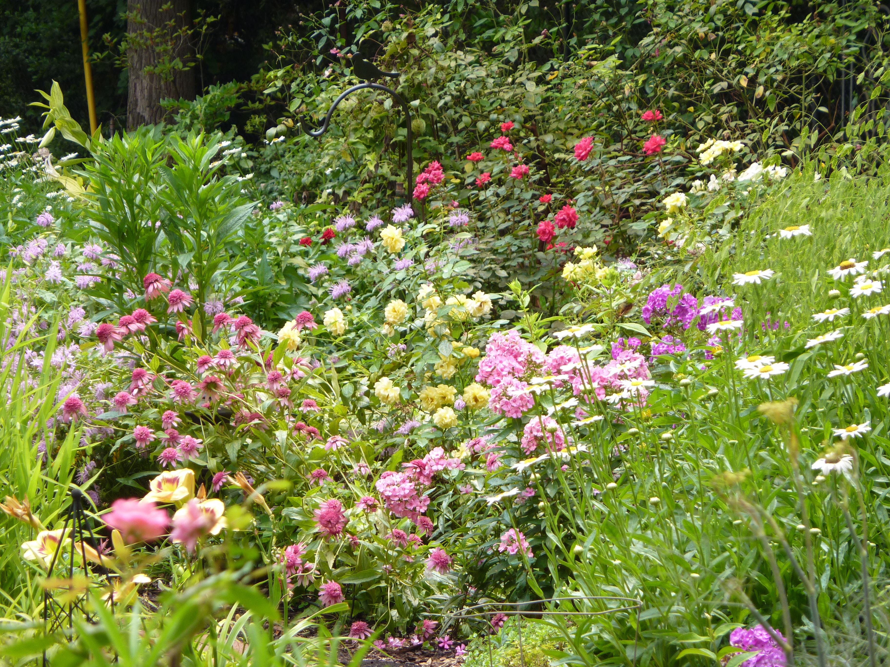 English Summer Gardens
