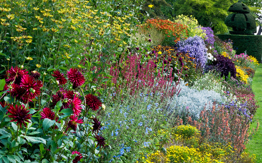 Perennials Lower Garden Summer English Garden