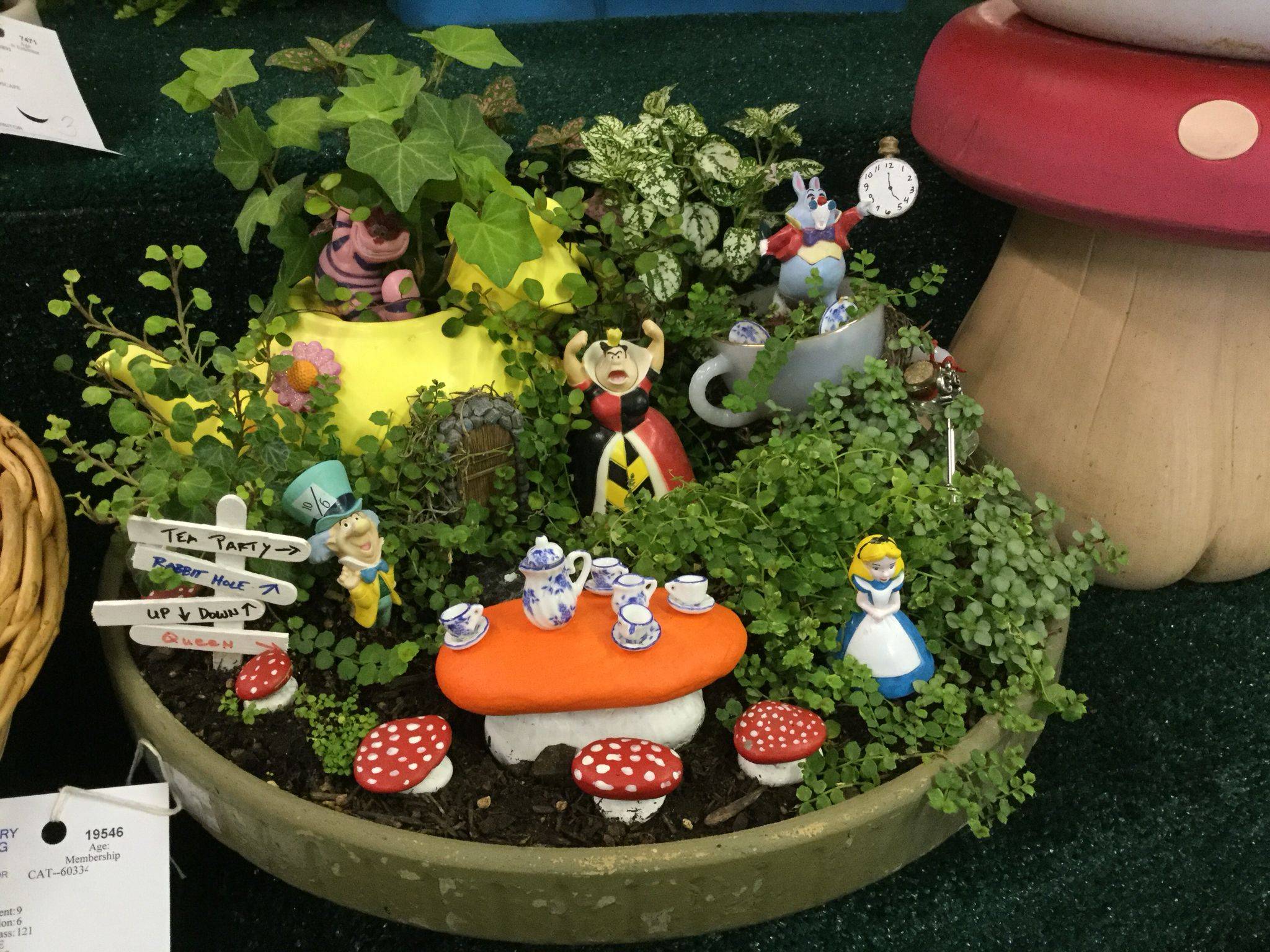 Complete Fairy Garden Kit