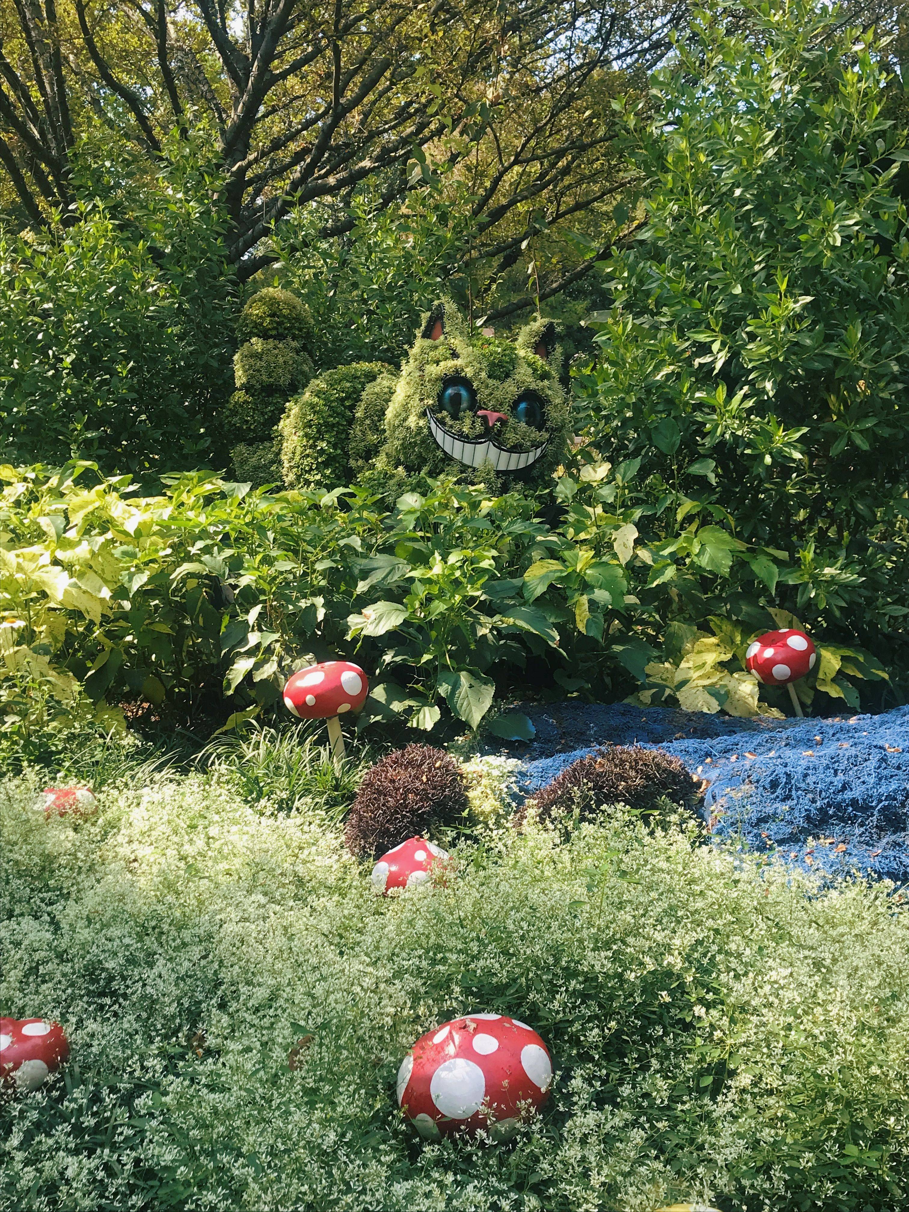 Wonderland Mini Garden Disney Garden