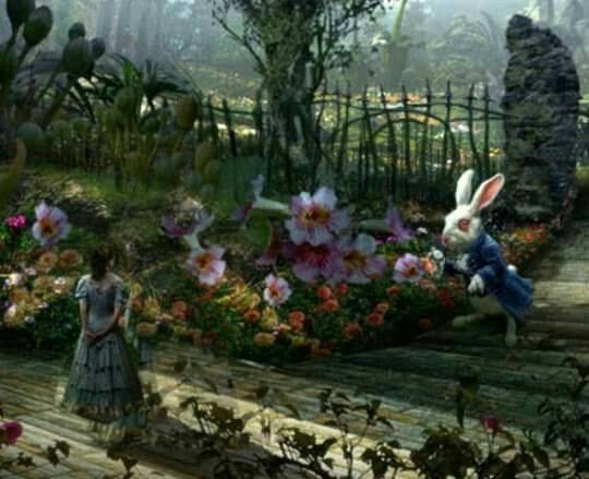 Wonderland Garden Ideas