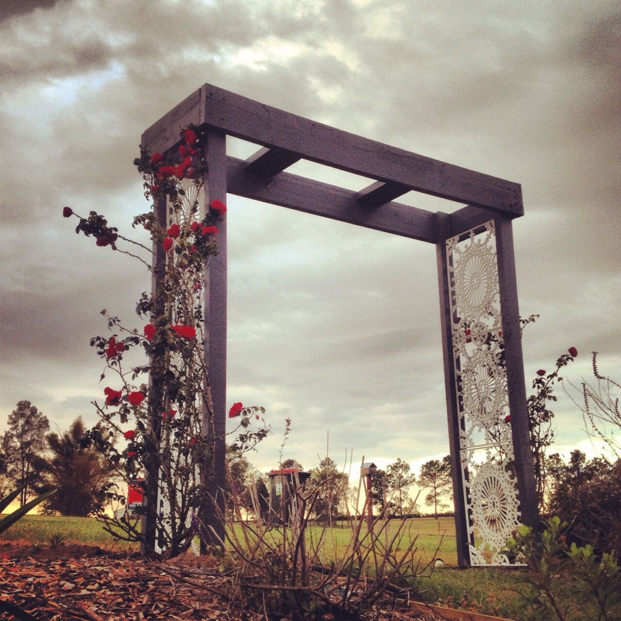 Wrought Iron Skyview Arbor Trellis Flower Arch