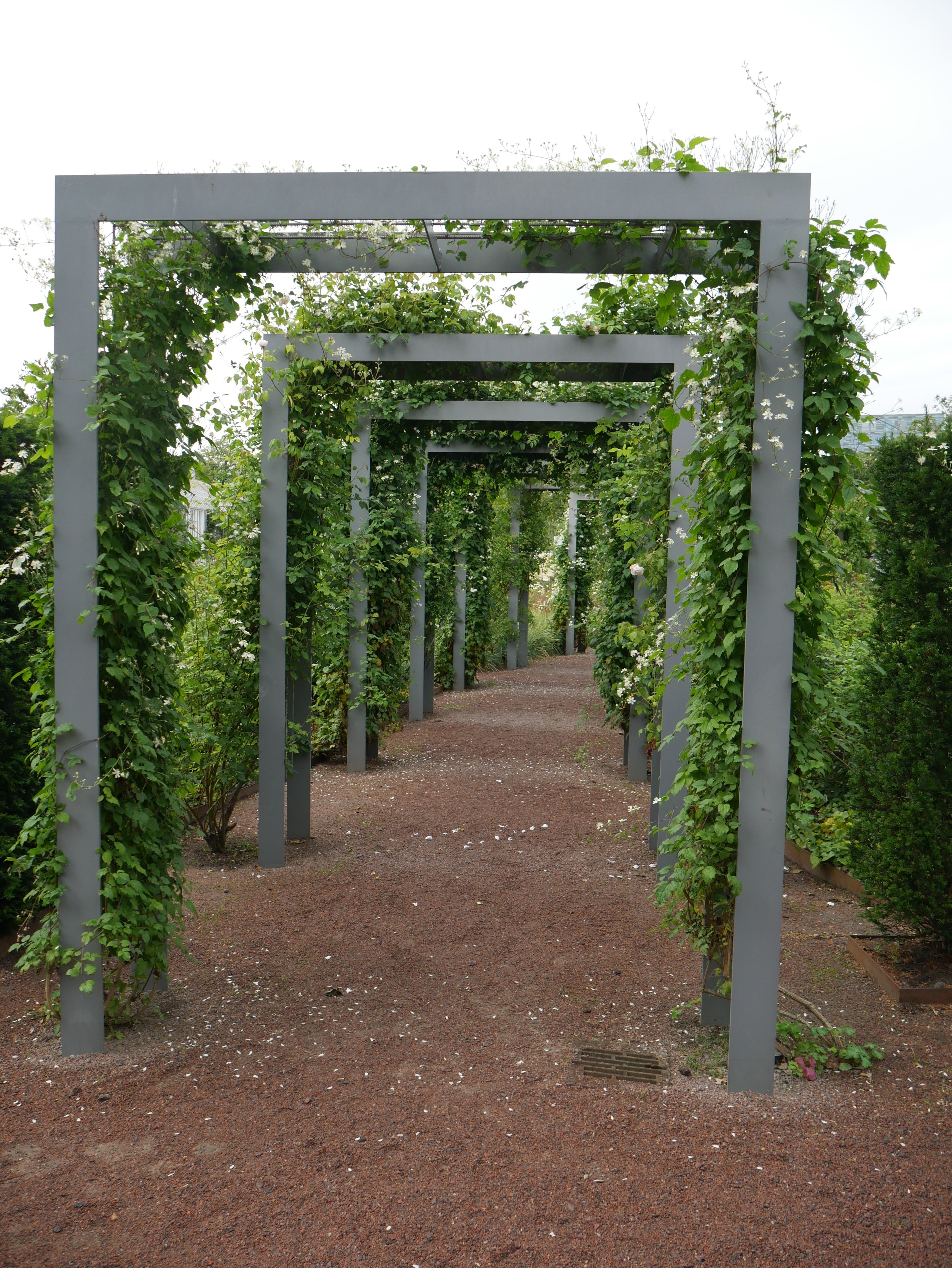 Splendid Garden Arches Design Ideas Houz Buzz