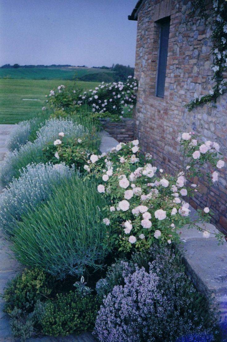 A Mediterranean Garden Style
