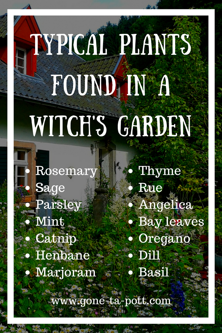 Gardens Witch Garden