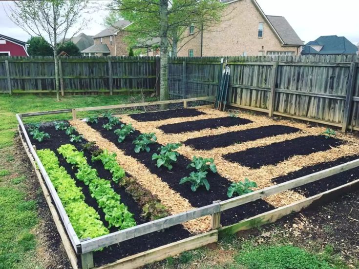 Great Vegetable Garden Ideas