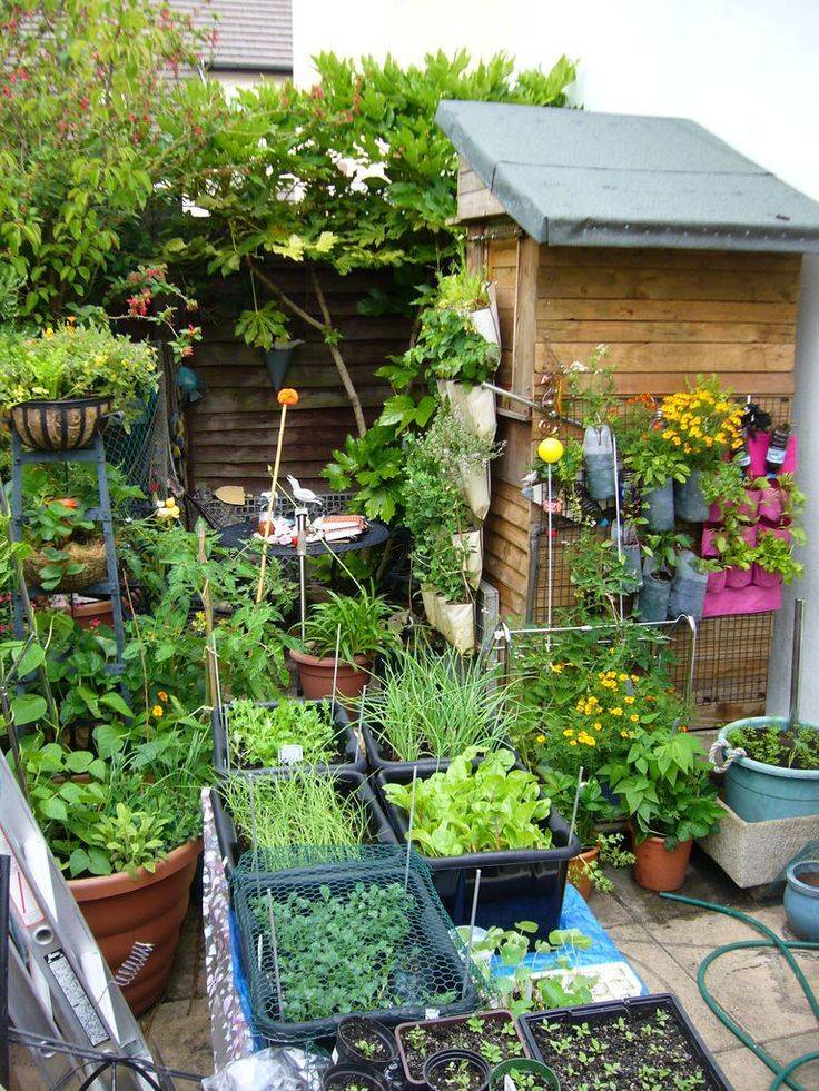 Creative Vertical Garden Ideas