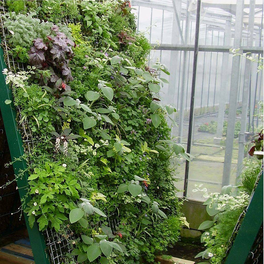 Indoor Garden Ideas