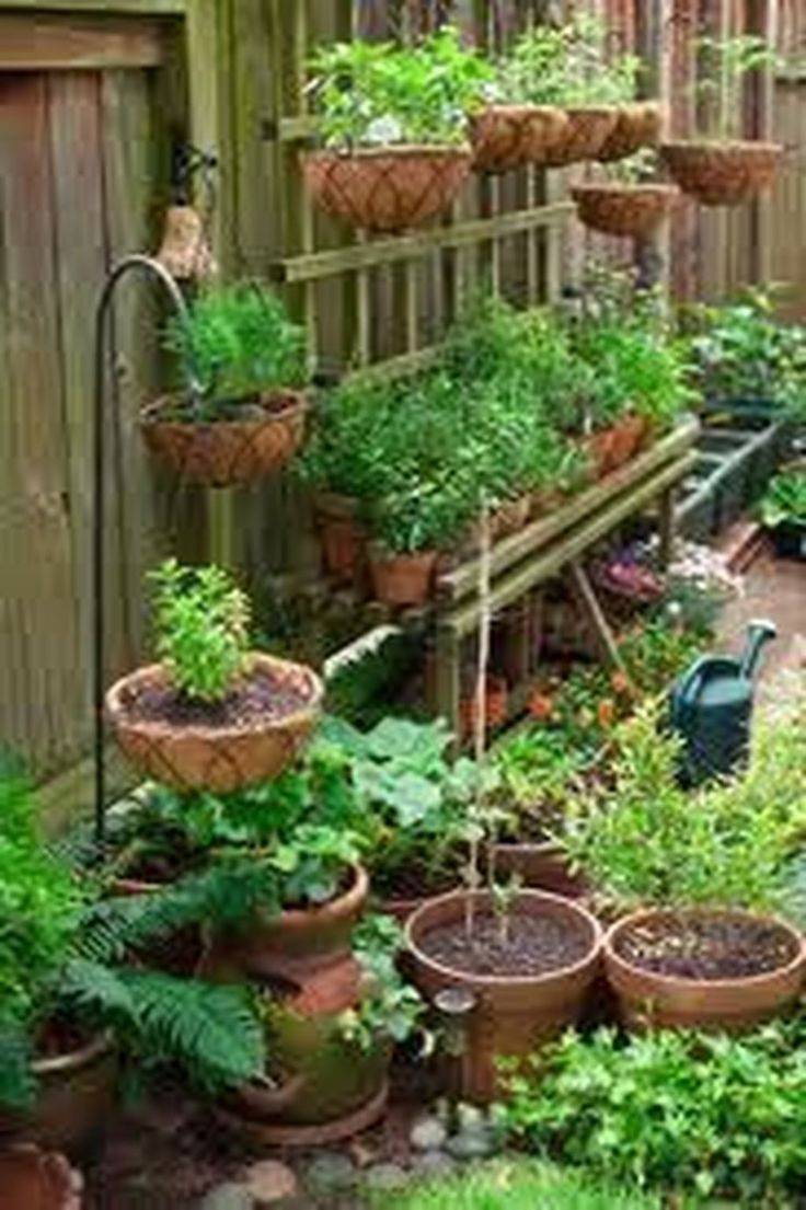 Unusual Vertical Vegetable Garden Design Ideas