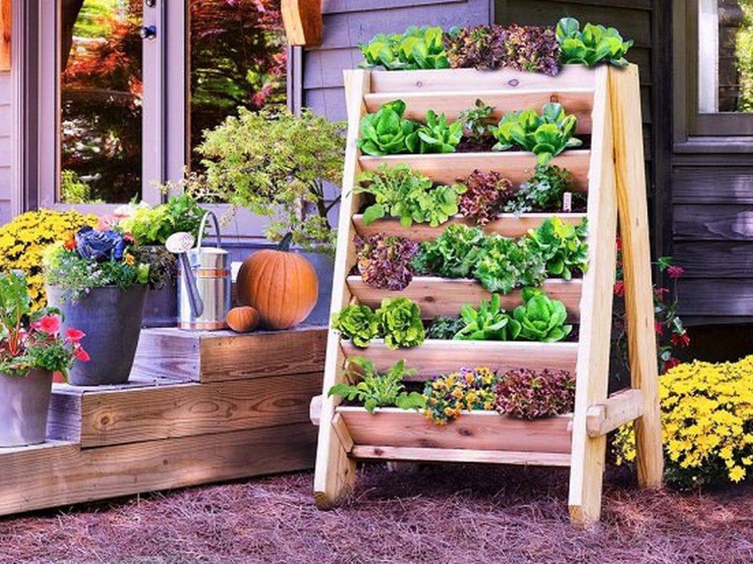 Vertical Vegetable Gardens