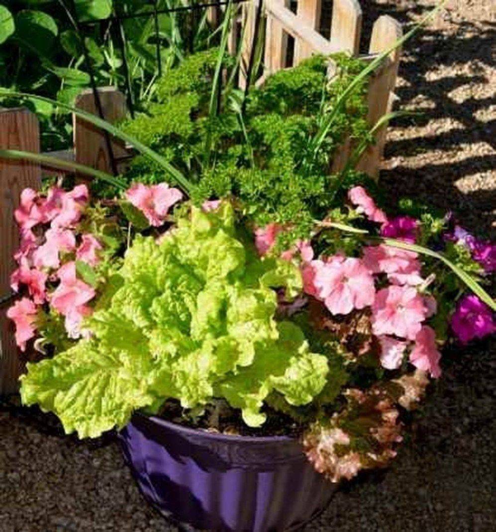 Fascinating Fruit And Vegetable Garden Ideas You Need To Try