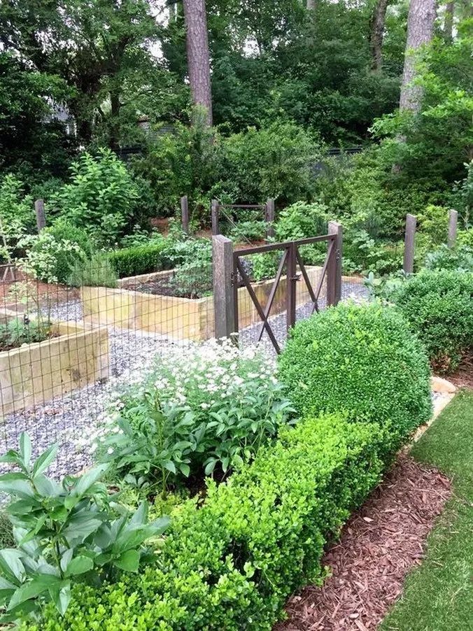 Inspiring Vegetable Gardening Ideas