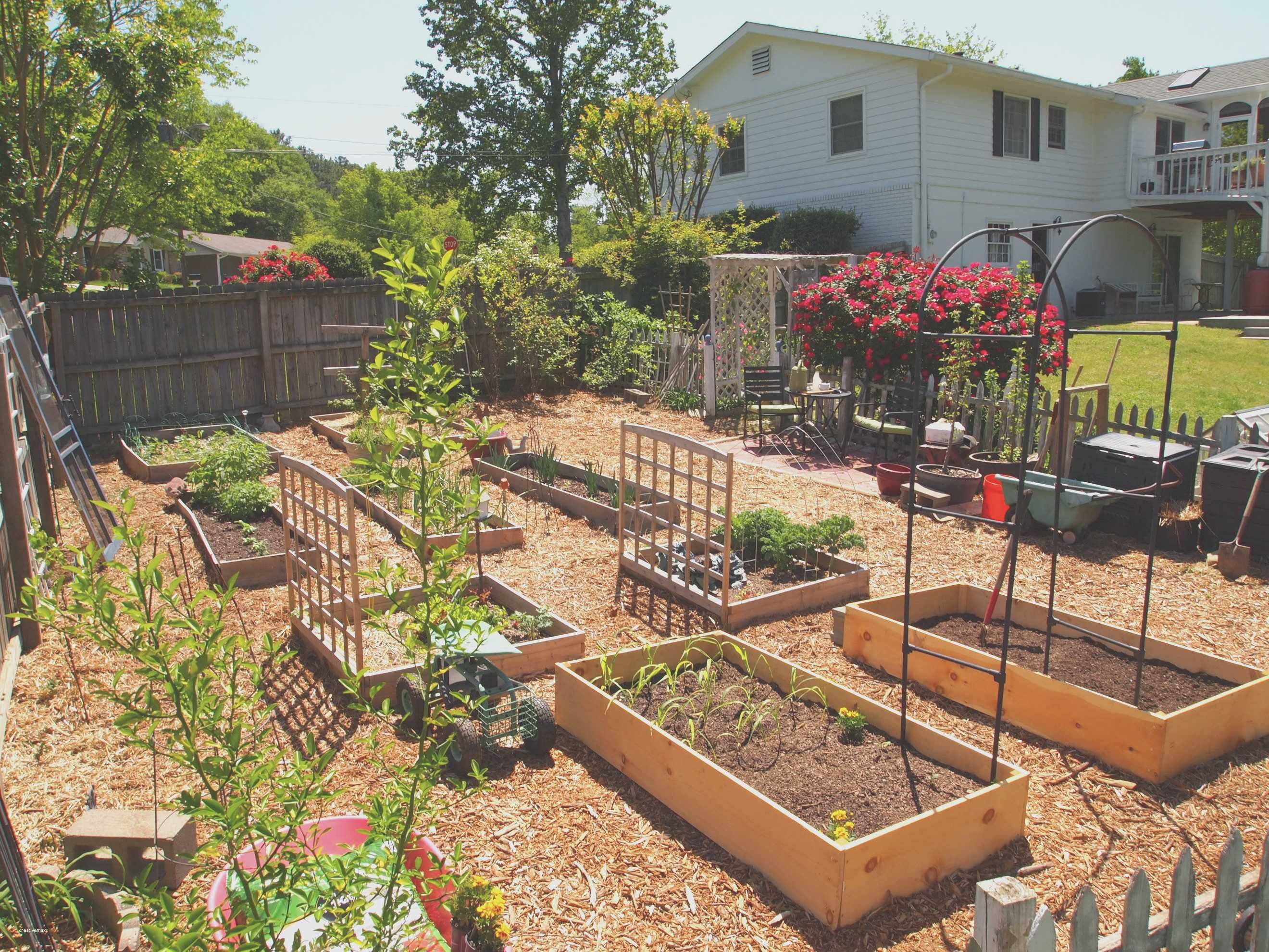 Most Productive Small Vegetable Garden Ideas