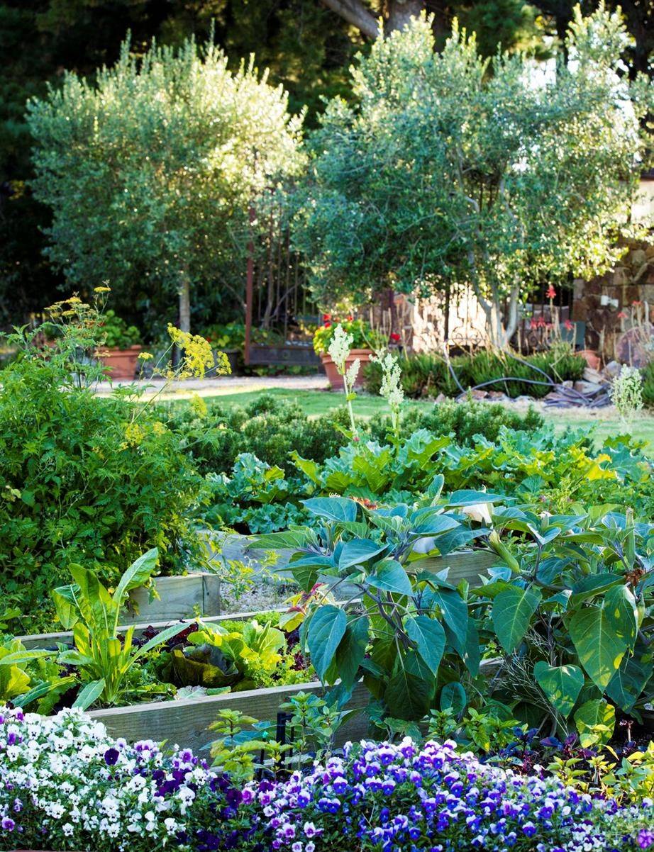 Lovely Raised Vegetables Garden Ideas
