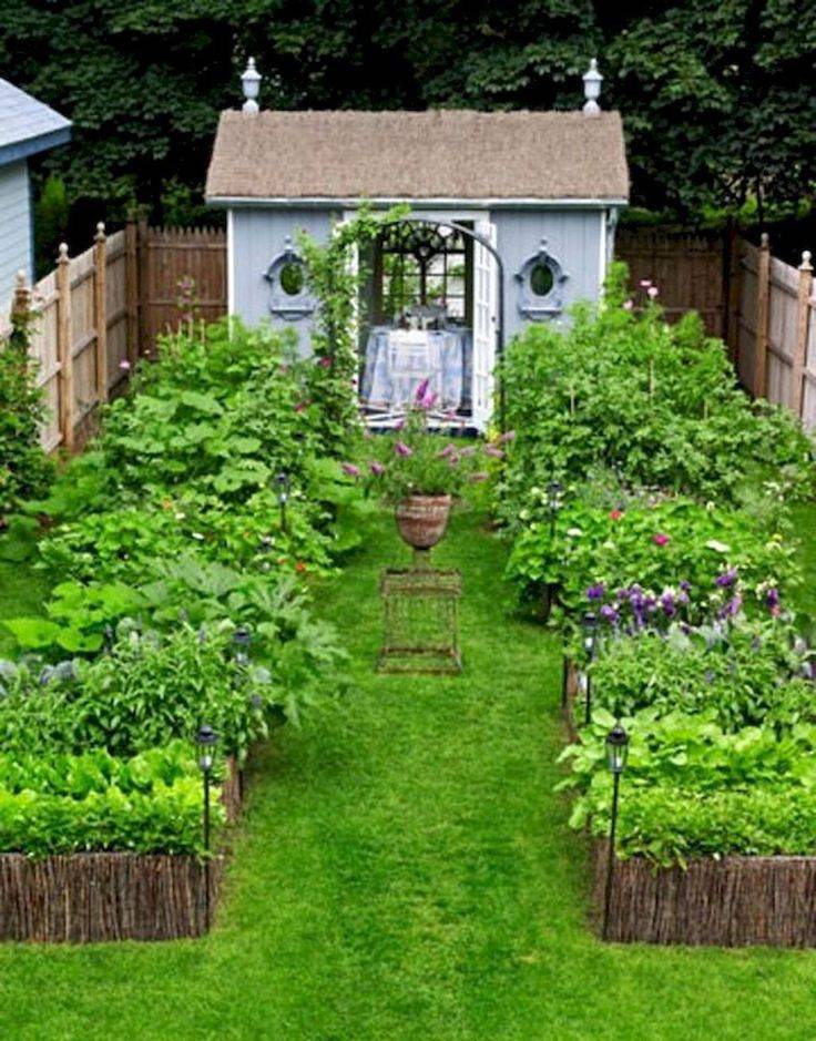 A Kitchen Garden Small Cottage Garden Ideas