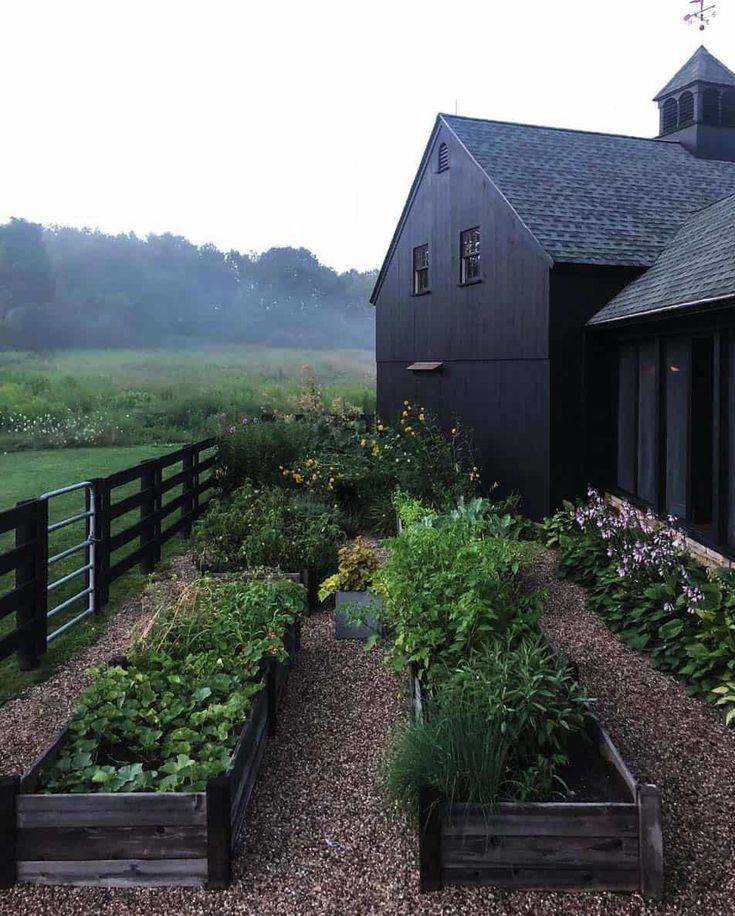 Rustic Vegetable Garden Design Ideas