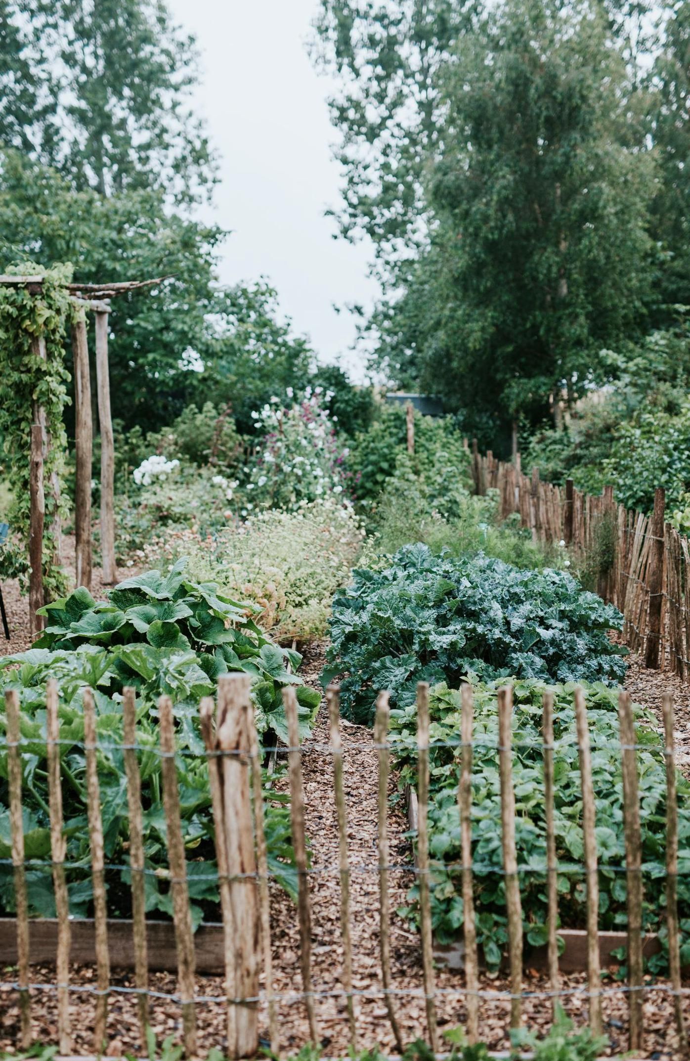 Beginners Rustic Vegetable Flower