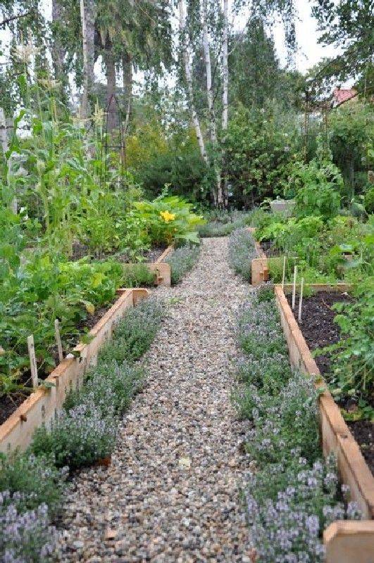 23 Vegetable Garden Pathways Ideas Worth a Look SharonSable