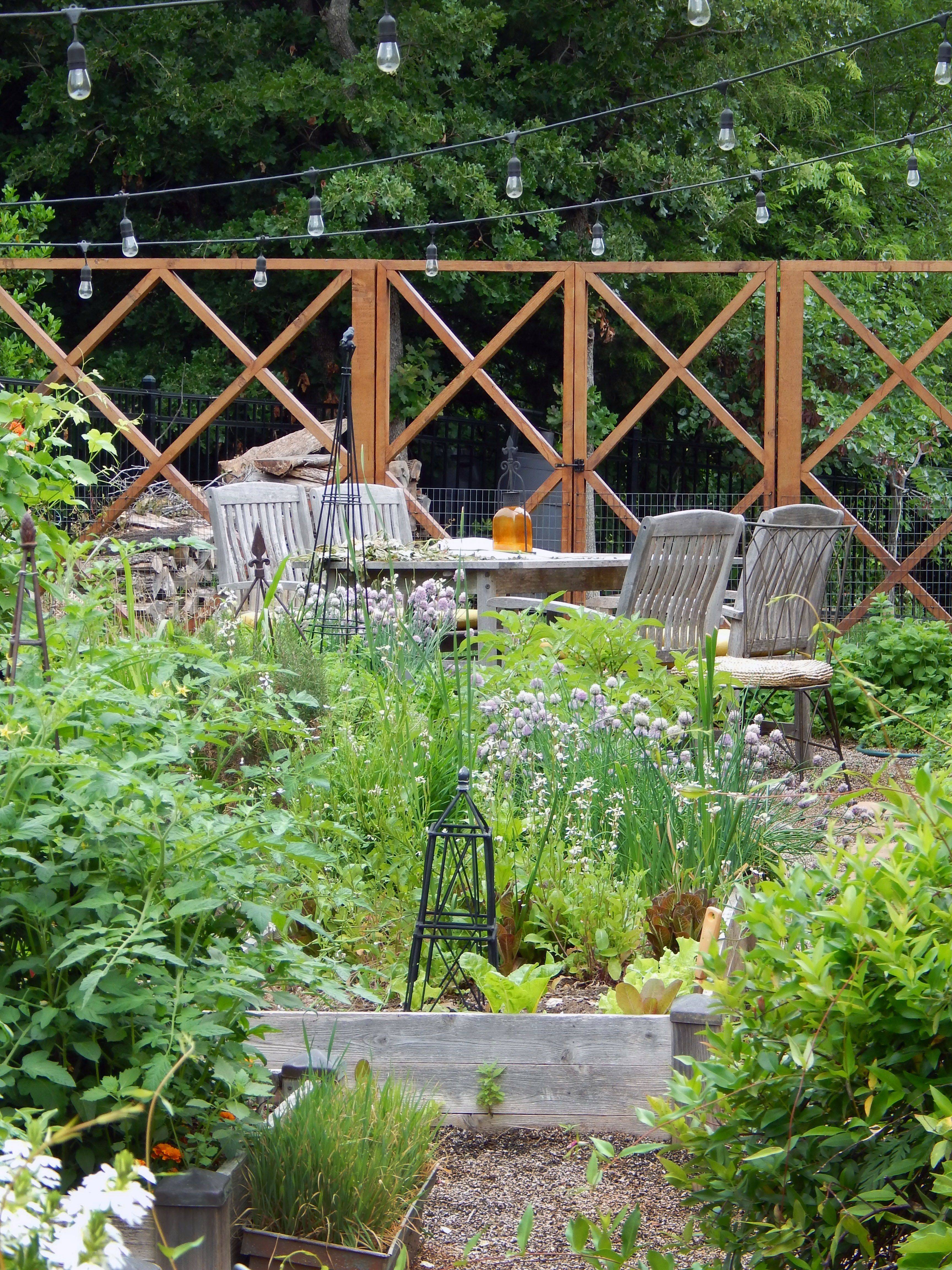 Landscape Food Garden Garden Layout