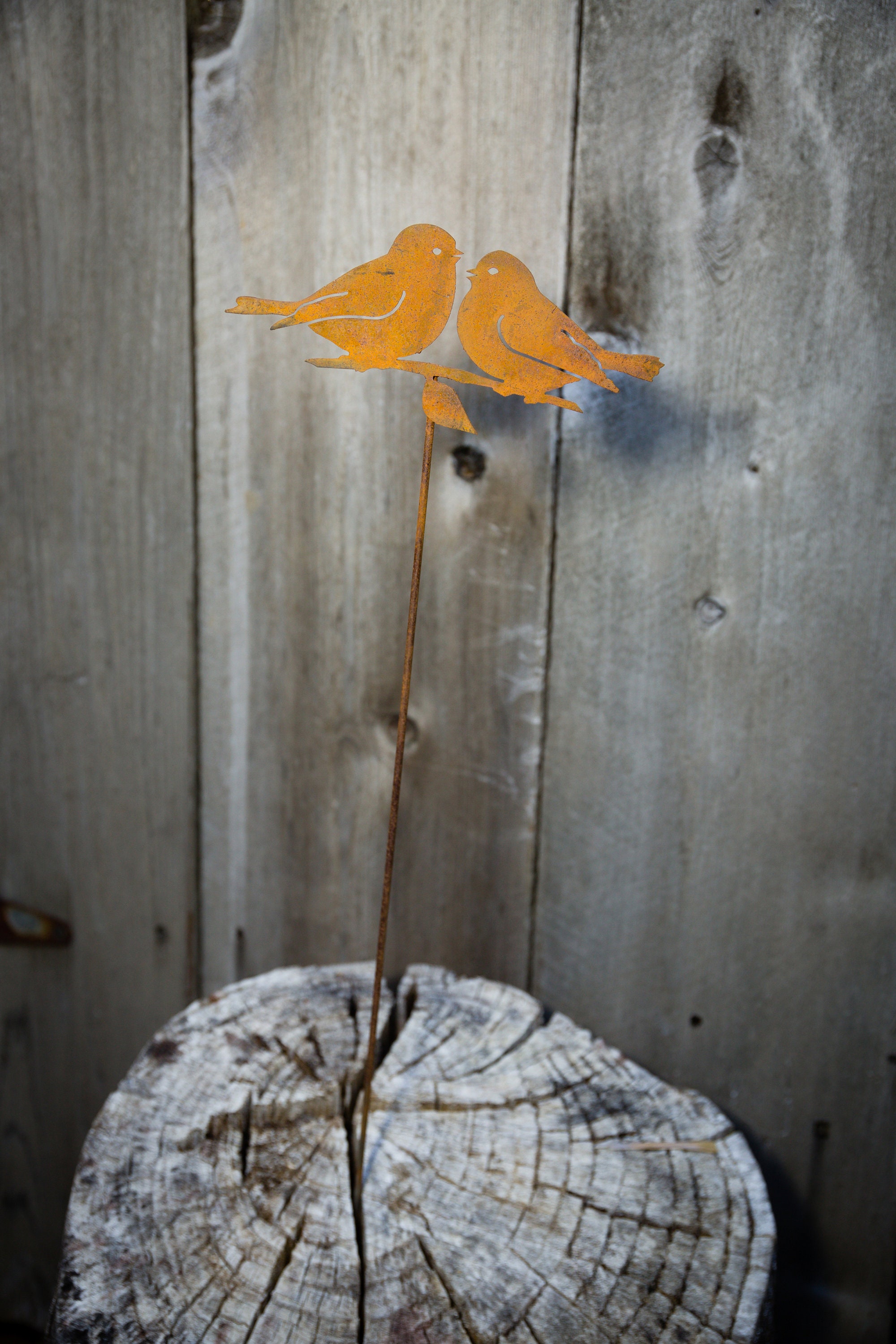 Sea Turtle Silhouette Rusted Metal