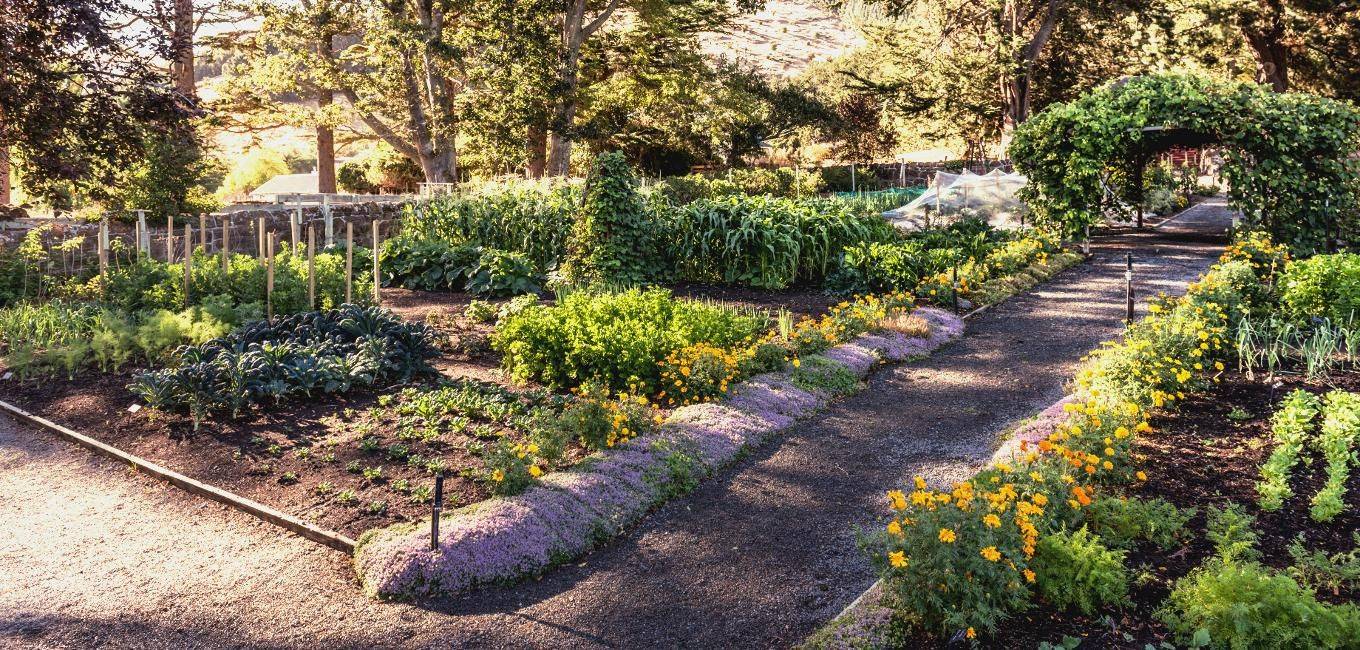An Ornamental Kitchen Garden