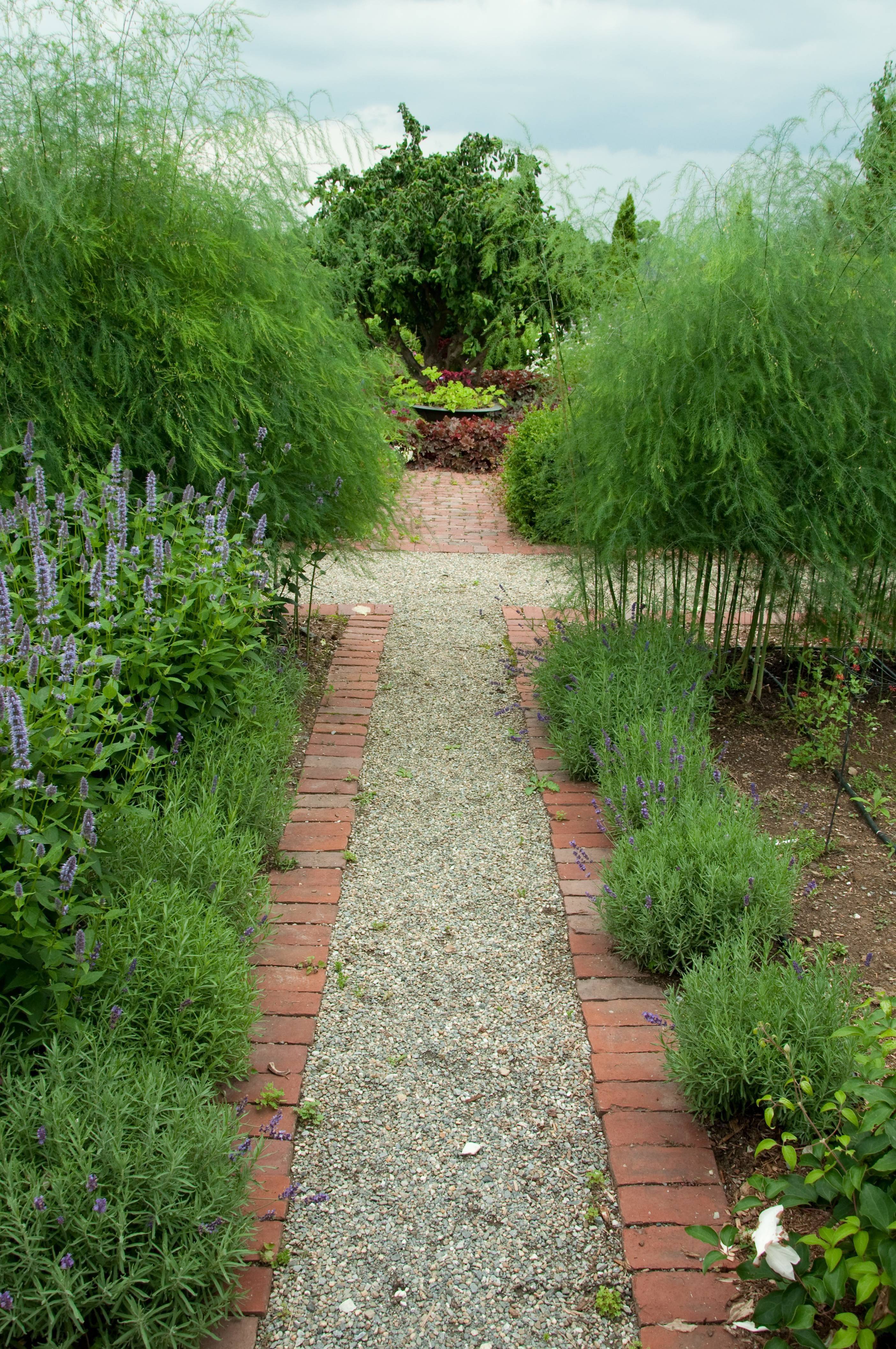 Vegetablegardenbeginner Potager Garden