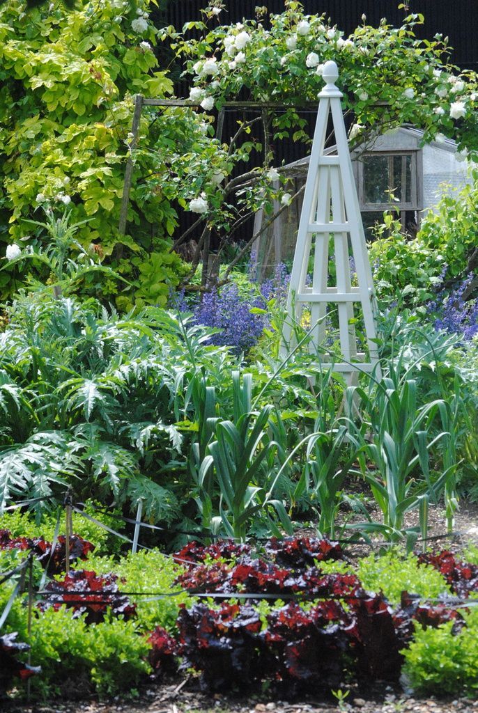 The Ornamental Kitchen Garden